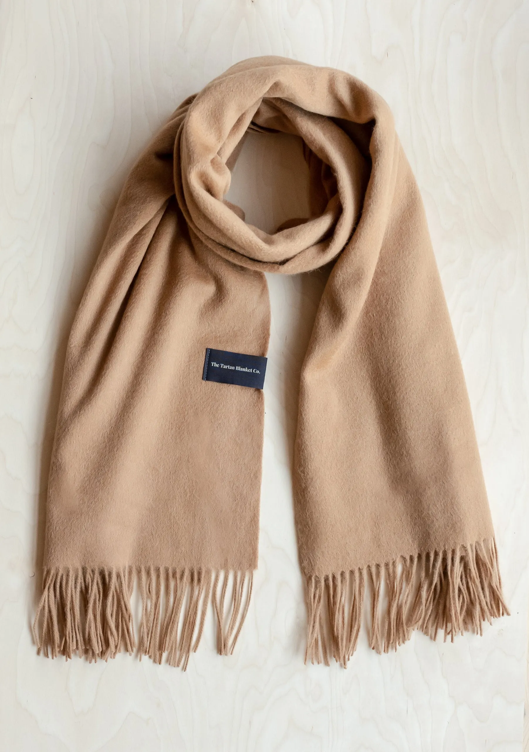Cashmere Blanket Scarf in Camel