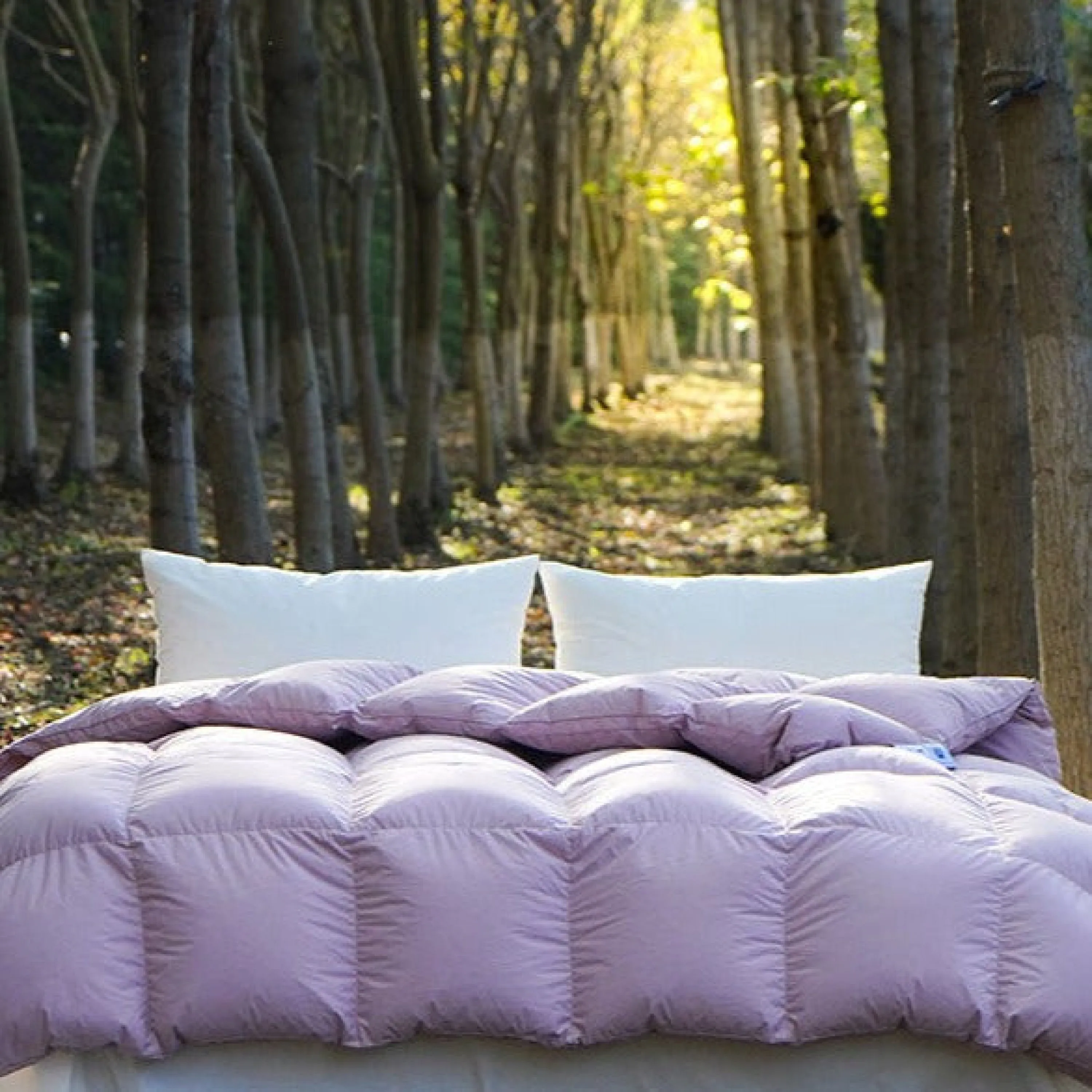 Ultra Fluffy Goose Down Duvet Insert Comforter / Purple
