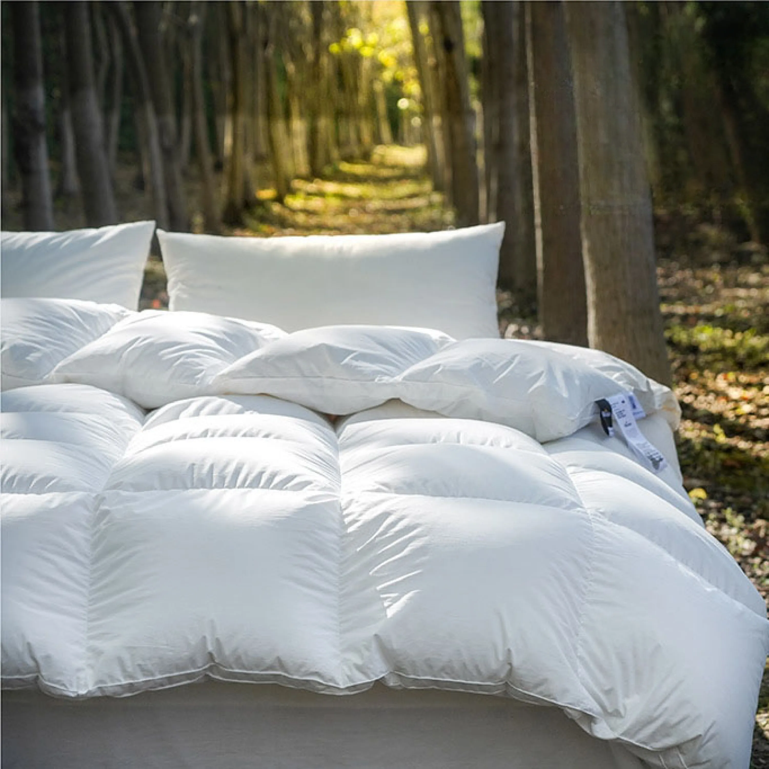 Ultra Fluffy Goose Down Duvet Insert Comforter / Purple